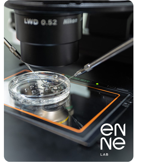 ENNE Clinic Reprodução Assistida